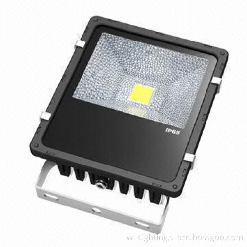 50W COB LED Floodlight, IP65